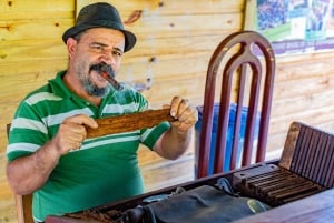 Punta Cana: Safari w Bavaro Runners