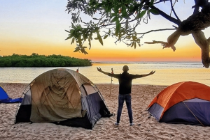 Punta Cana: Beach Camping with Dinner and Drinks