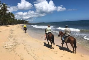 Punta Cana Beach Horseback Riding Tour