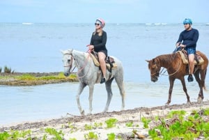 Punta Cana Beach Horseback Riding Tour