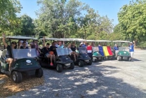 Punta Cana: Blue Lagoon Tour with Catamaran Cruise