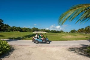 Punta Cana: Blue Lagoon Tour with Catamaran Cruise