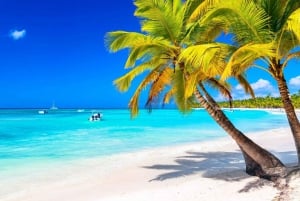 Punta Cana: Rondvaart naar Isla Saona, open bar & lunchbuffet