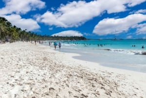 Punta Cana: Rondvaart naar Isla Saona, open bar & lunchbuffet