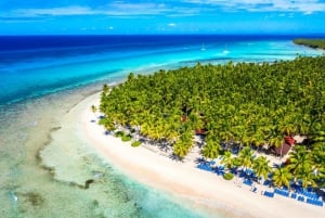 Punta Cana: Rondvaart naar Isla Saona, open bar & lunchbuffet