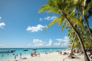 Punta Cana: Rondvaart naar Isla Saona, open bar & lunchbuffet