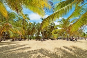 Punta Cana: Tour in barca a Isla Saona, open bar e pranzo a buffet