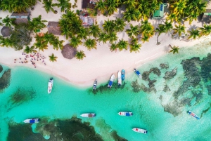 Punta Cana: Bådtur til Isla Saona, åben bar og frokostbuffet