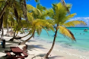 Punta Cana: Bådtur til Isla Saona, åben bar og frokostbuffet