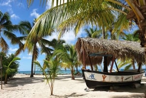 Punta Cana: Bådtur til Isla Saona, åben bar og frokostbuffet