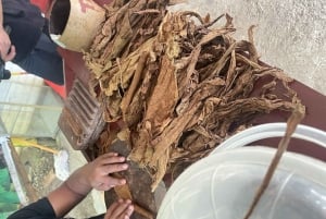 Punta Cana: Boca de Yuma, Basilica, & Chocolate Tour