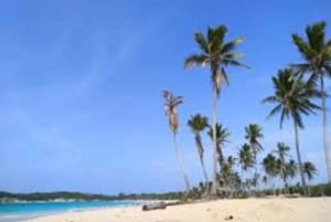 Punta Cana: Boca de Yuma, Basilica, & Chocolate Tour