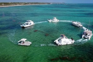 Punta Cana Booze Cruise, Schnorcheln mit Sandbar