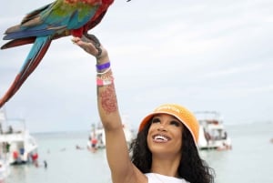 Punta Cana Booze Cruise, Schnorcheln mit Sandbar