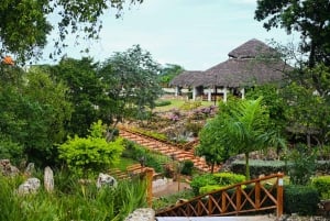 Punta Cana: Buggy, Cavalo, Cenote, Tirolesa, Aldeia Taino
