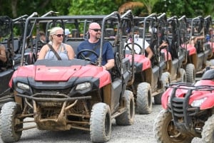 Punta Cana: Buggy, Cavalo, Cenote, Tirolesa, Aldeia Taino