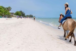 Punta Cana: buggy, equitazione, zipline e catamarano...