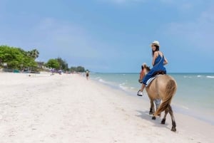 Punta Cana: buggy, equitazione, zipline e catamarano...