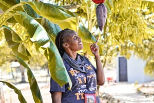 Passeio de buggy em Punta Cana: grutas mágicas, praias de sonho e cultura