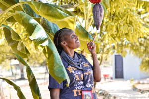 Punta Cana Buggy Tour: Magical Caves, Dream Beaches & Culture