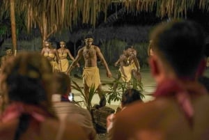 Punta Cana: Buggytur med bad i cenote och middag