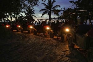 Punta Cana: Buggytur med bad i cenote och middag