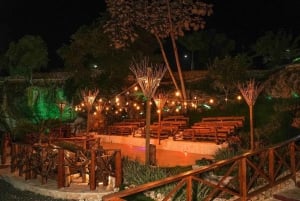 Punta Cana: Buggytur med bad i cenote och middag