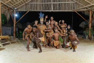 Punta Cana: Buggytur med bad i cenote och middag