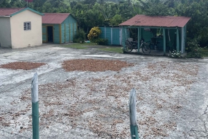 Punta Cana: Kakao, flod og basilika-tur med svømning