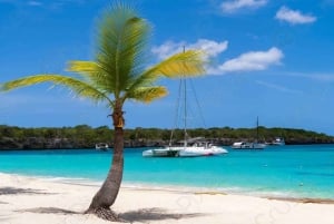 Punta Cana: Catalina Island Catamaran Cruise with Lunch
