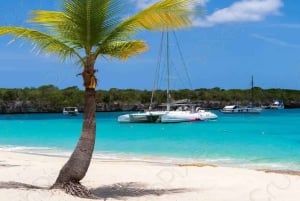 Punta Cana: Catalina Island Catamaran Cruise with Lunch