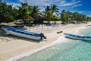 Punta Cana: Catalina Island Catamaran Cruise with Lunch