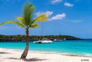 Punta Cana: Katamaran til Catalina Island, lunsj og snorkling