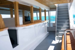 Punta Cana: Catalina Island Cruise with Lunch and Open Bar