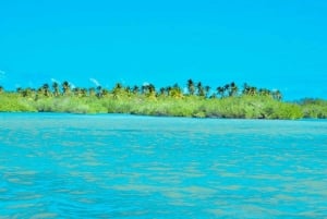 Punta Cana: Catalina Island Day Trip with Snorkeling
