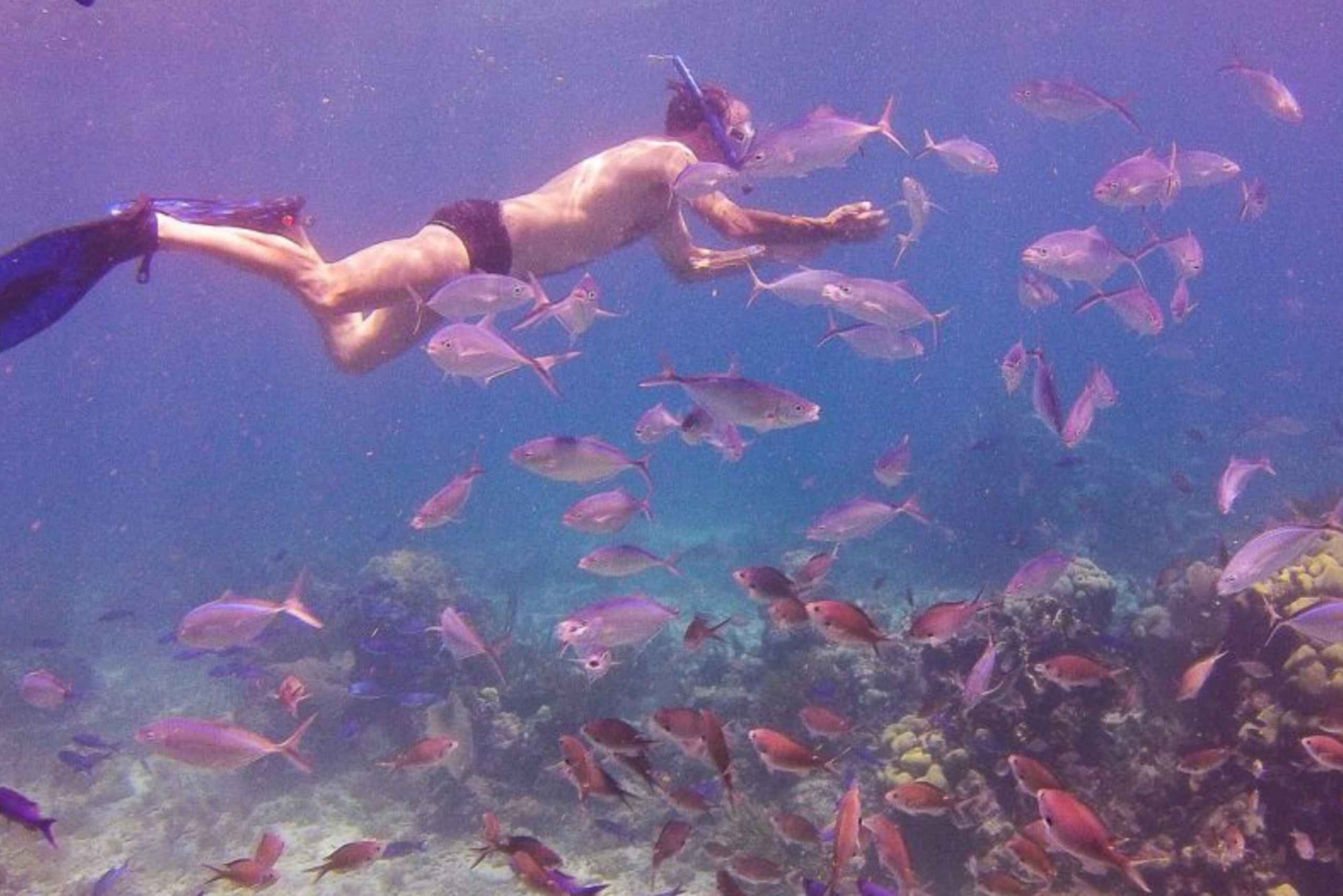 Punta Cana: Excursión de un día completo a la Isla Catalina para hacer snorkel