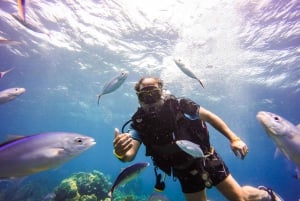 Punta Cana: Scuba Diving Adventure to Catalina Island