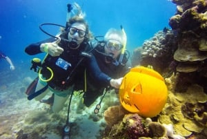 Punta Cana: Scuba Diving Adventure to Catalina Island