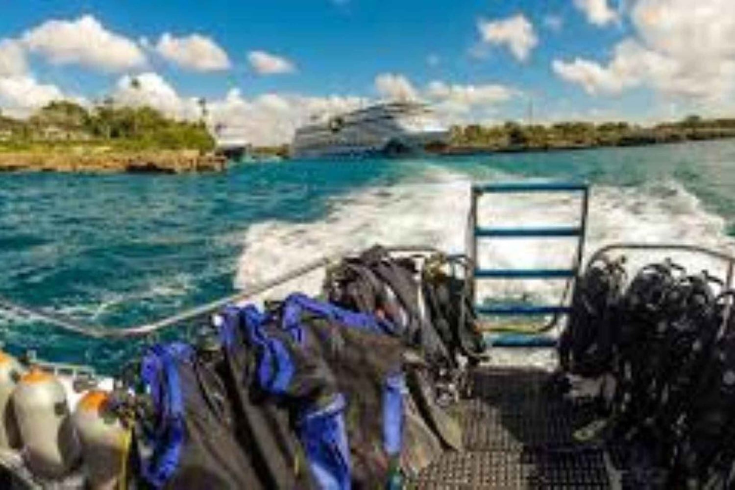 Punta Cana: Catalina Island Scuba Diving Day Trip