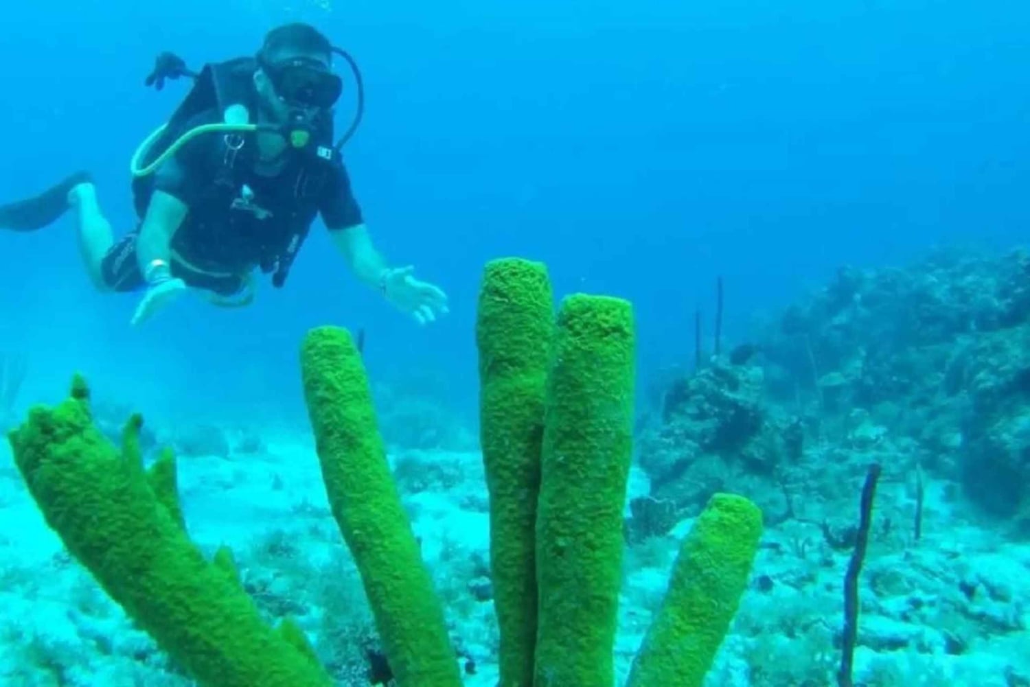 Punta Cana: Catalina Island Scuba Diving Day Trip