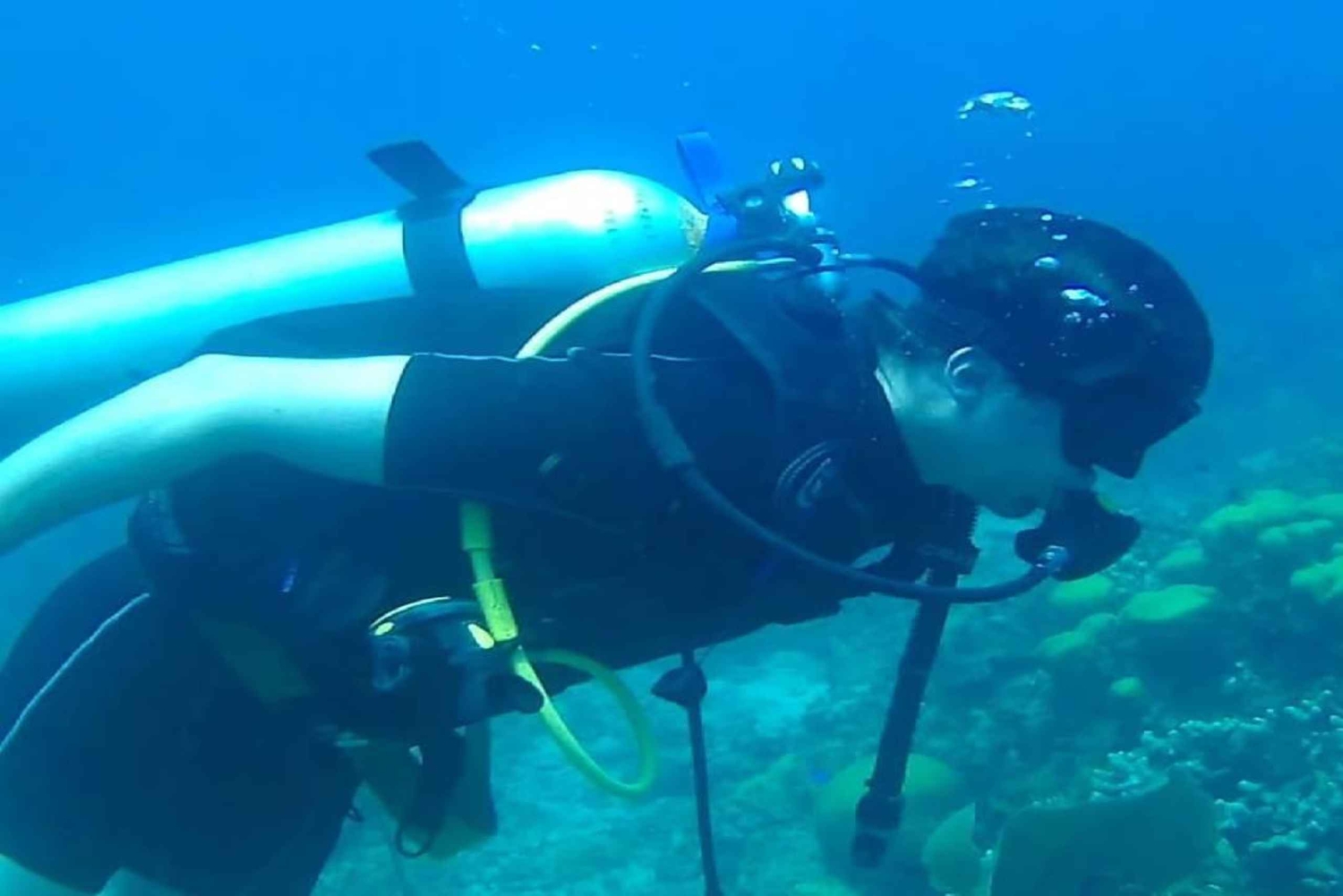 Punta Cana: Catalina Island Scuba Diving Day Trip