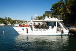 Punta Cana: Catalina Island Scuba Diving Day Trip