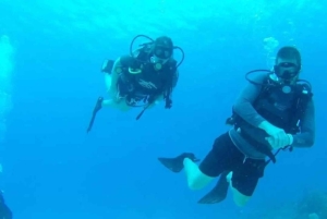 Punta Cana: Catalina Island Scuba Diving Day Trip