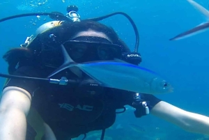 Punta Cana: Catalina Island Scuba Diving Day Trip