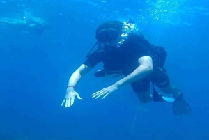 Punta Cana: Catalina Island Scuba Diving Day Trip