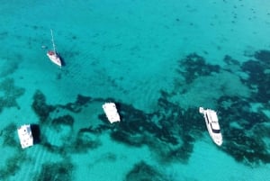 Punta Cana: Catalina Island Snorkeling and lunch Day Trip