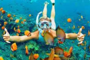 Punta Cana: Isla Catalina + Snorkeling Recogida Hotel