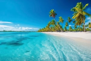 Punta Cana: Tour di snorkeling dell'isola di Catalina con pranzo