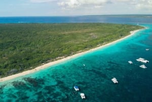 Punta Cana: Tour di snorkeling dell'isola di Catalina con pranzo