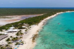 Punta Cana: excursión de snorkel a la isla Catalina con almuerzo